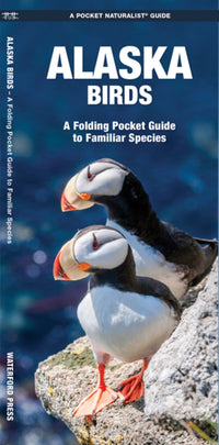 Alaska Birds: A Folding Pocket Guide to Familiar Species