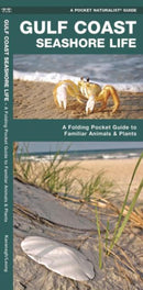 Gulf Coast Seashore Life: A Folding Pocket Guide to Familiar Animals and Plants