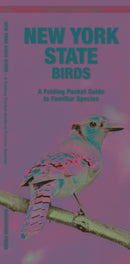 New York State Birds: A Folding Pocket Guide to Familiar Species