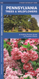 Pennsylvania Trees & Wildflowers: A Folding Pocket Guide to Familiar Plants