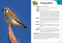 Birds of Prey of the Midwest Field Guide