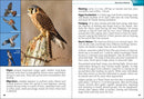Birds of Prey of the Midwest Field Guide