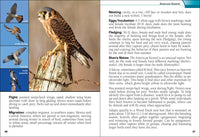 Birds of Prey of the Midwest Field Guide
