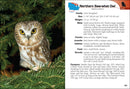 Birds of Prey of the Midwest Field Guide