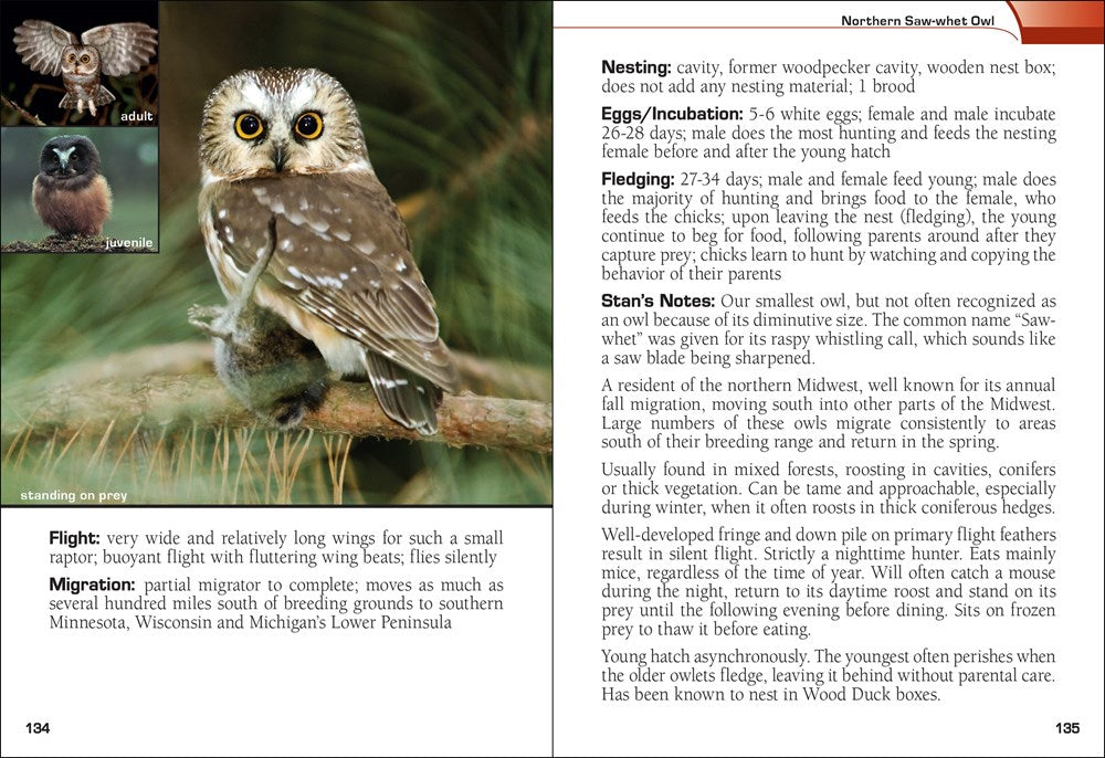 Birds of Prey of the Midwest Field Guide