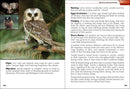 Birds of Prey of the Midwest Field Guide