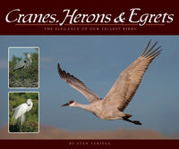 Cranes, Herons & Egrets: The Elegance of Our Tallest Birds