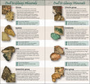 Rocks & Minerals of the Pacific Coast