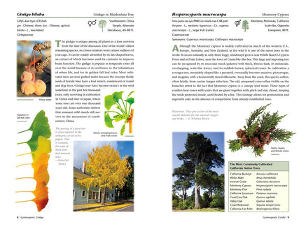 A Californian's Guide to the Trees Among Us: Expanded and Updated