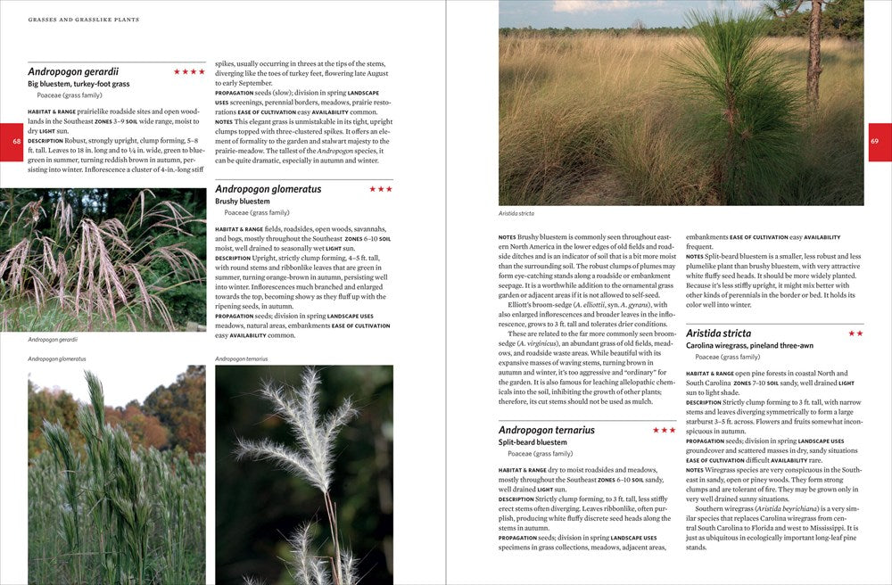 Native Plants of the Southeast