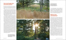 The Know Maintenance Perennial Garden