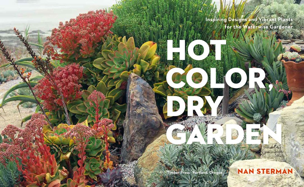 Hot Color, Dry Garden