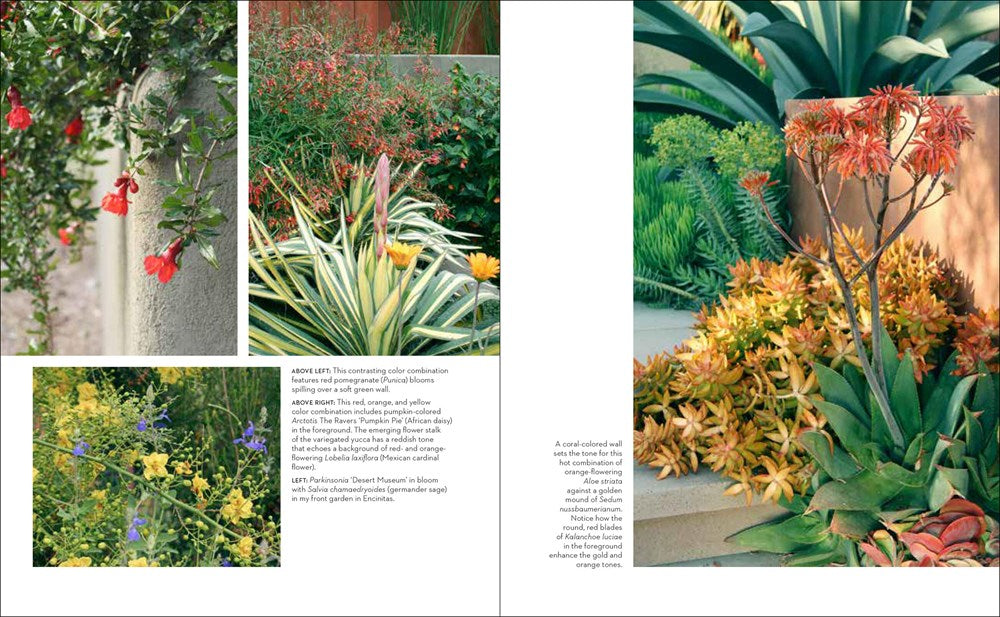 Hot Color, Dry Garden