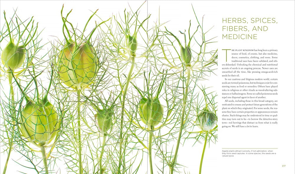 Seeing Seeds