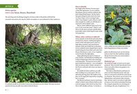 Mountain States Medicinal Plants
