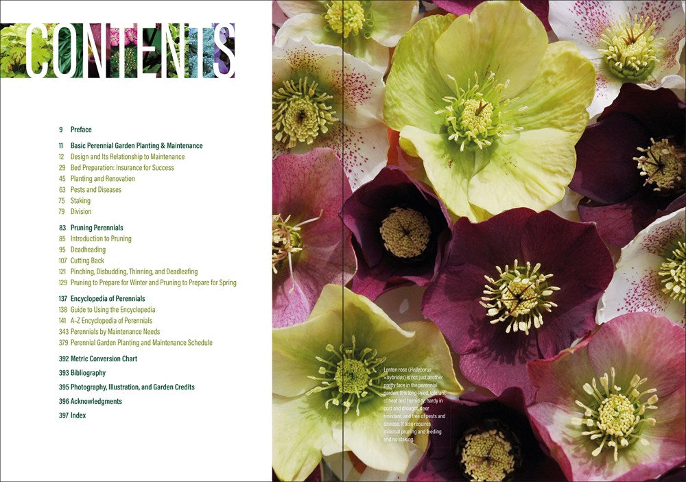 The Well-Tended Perennial Garden