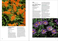 The Well-Tended Perennial Garden