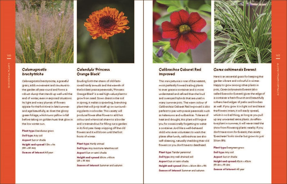 The Modern Cottage Garden