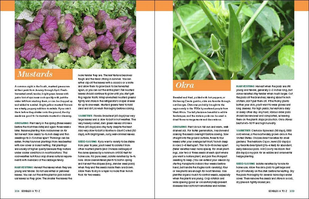 Grow Great Vegetables in Georgia