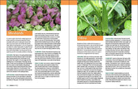 Grow Great Vegetables in Georgia