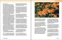 Grow Great Vegetables in Georgia