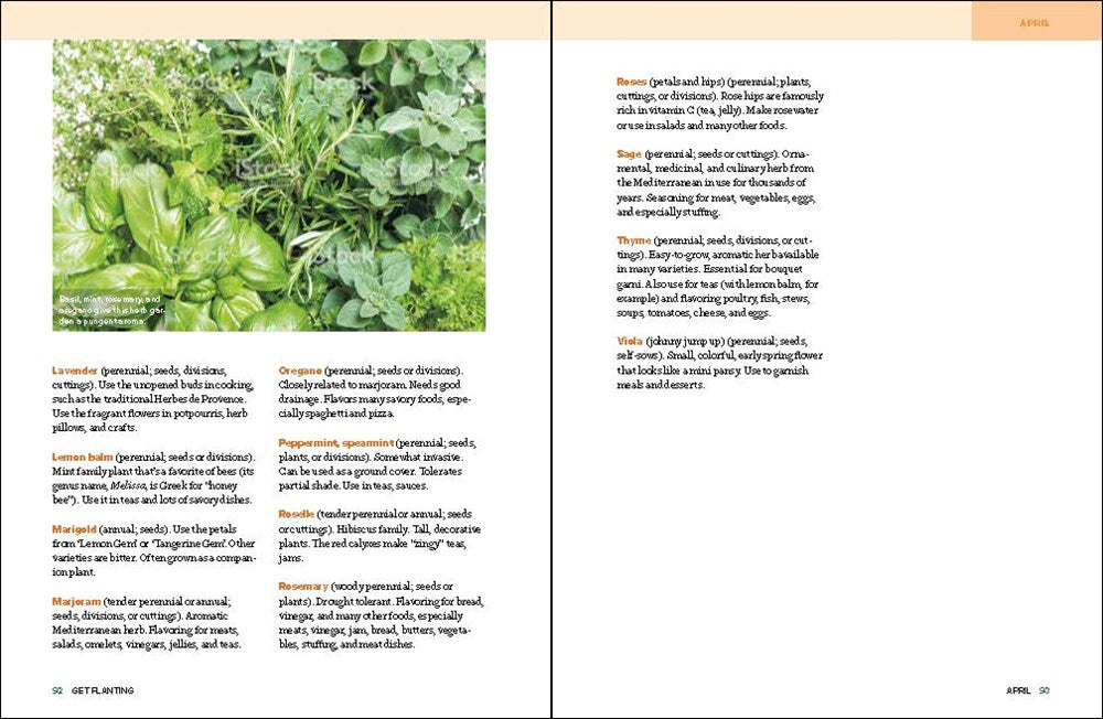 Grow Great Vegetables in Georgia