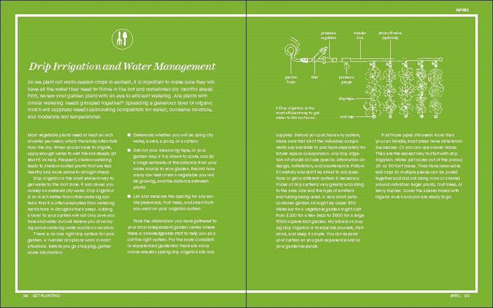 Grow Great Vegetables in Georgia