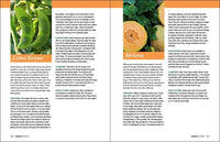 Grow Great Vegetables in Georgia