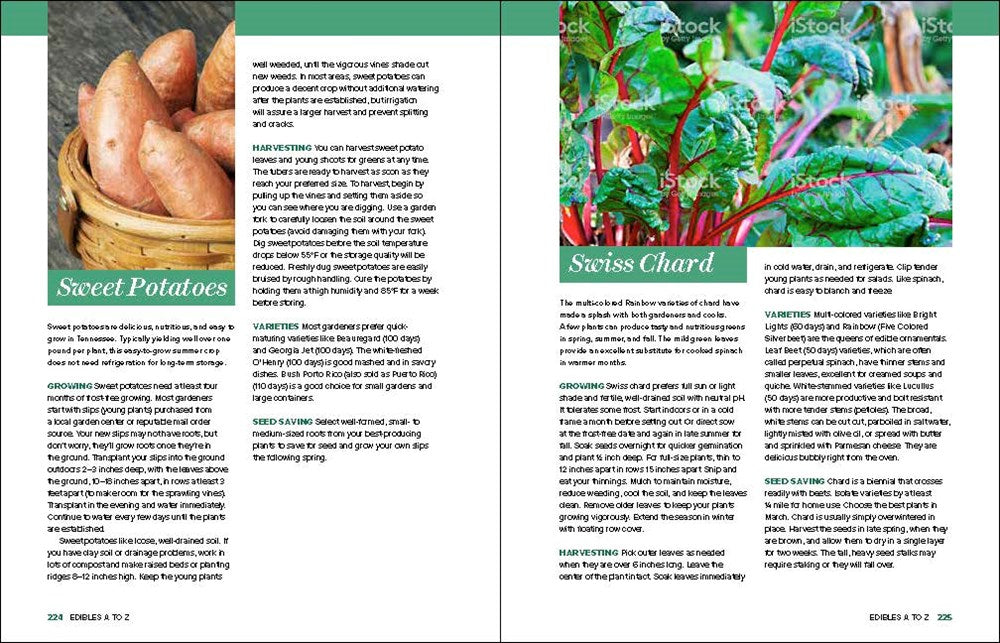 Grow Great Vegetables in Tennessee