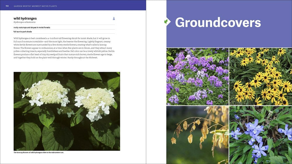 The Midwest Native Plant Primer