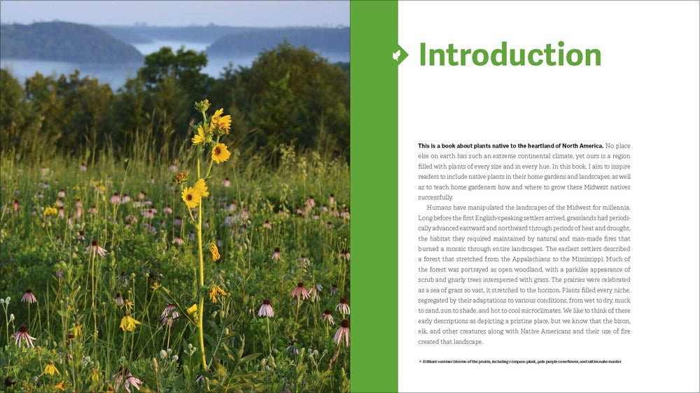 The Midwest Native Plant Primer