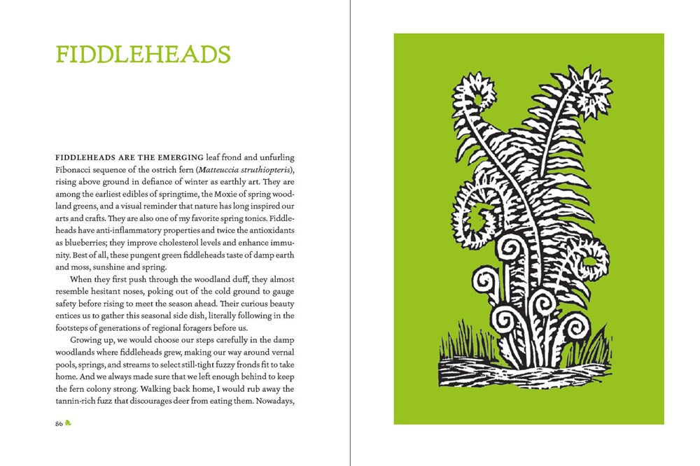 The Heirloom Gardener