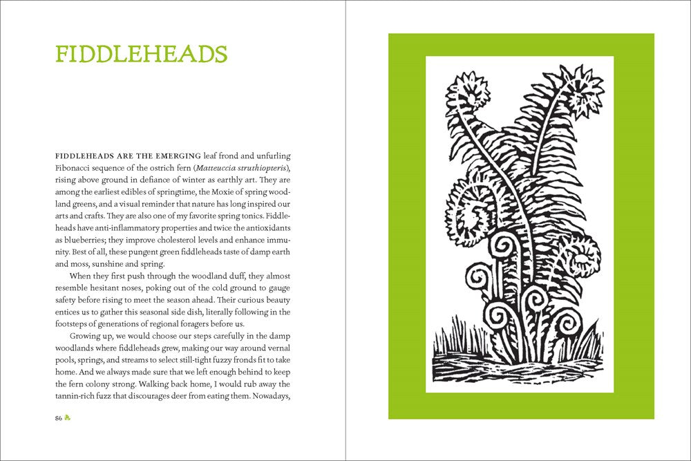 The Heirloom Gardener