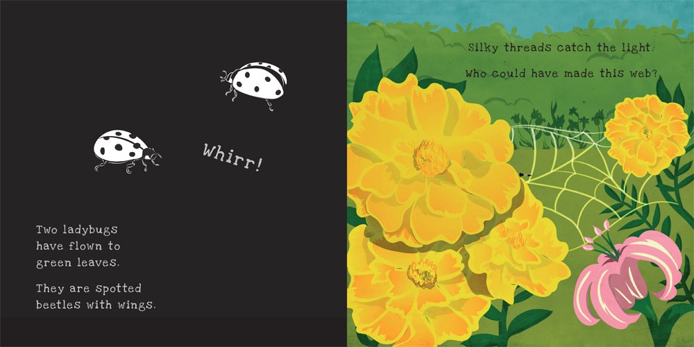 Secrets of the Vegetable Garden