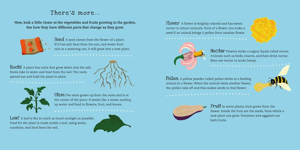 Secrets of the Vegetable Garden