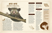 A Curious Collection of Peculiar Creatures