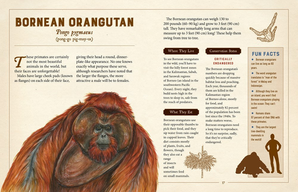 A Curious Collection of Peculiar Creatures