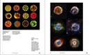 Book of Circles