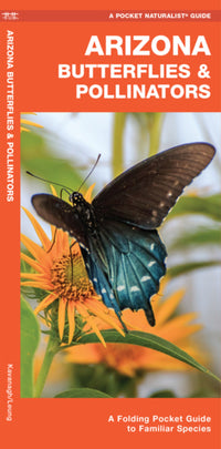 Arizona Butterflies & Pollinators: A Folding Pocket Guide to Familiar Species