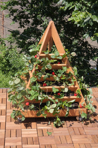 Outdoor Wood Projects