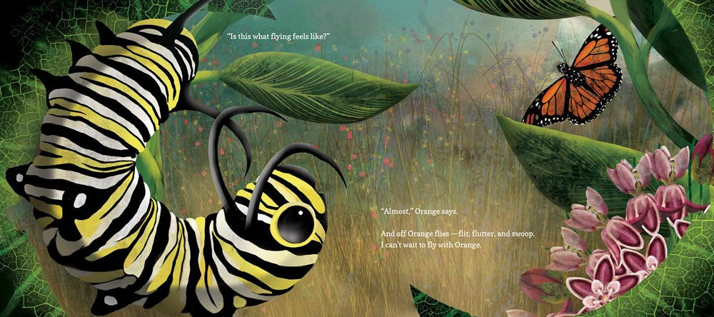 Hello, Little One: A Monarch Butterfly Story