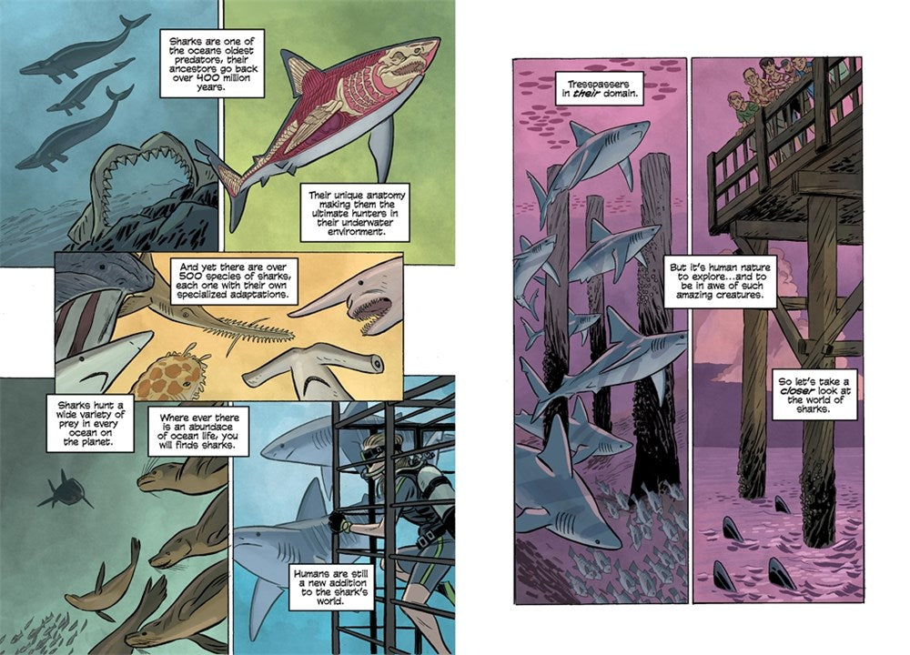 Science Comics: Sharks