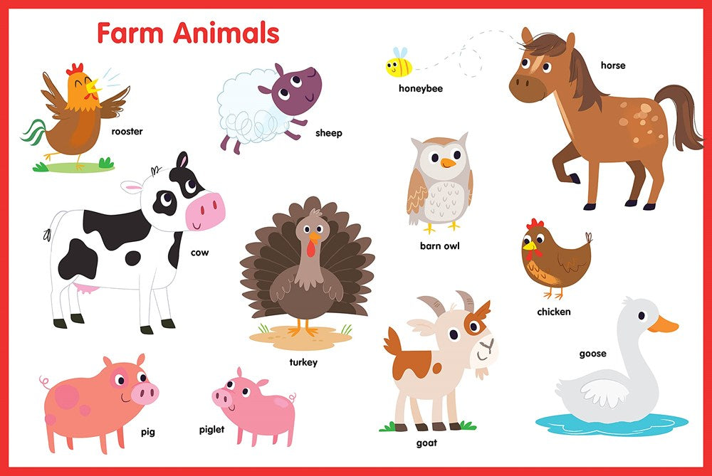 27-Button Sound Book Let's Learn Animals