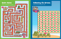 Jumbo Book of Amazing Mazes