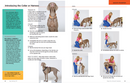 Dog Training 101