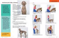 Dog Training 101