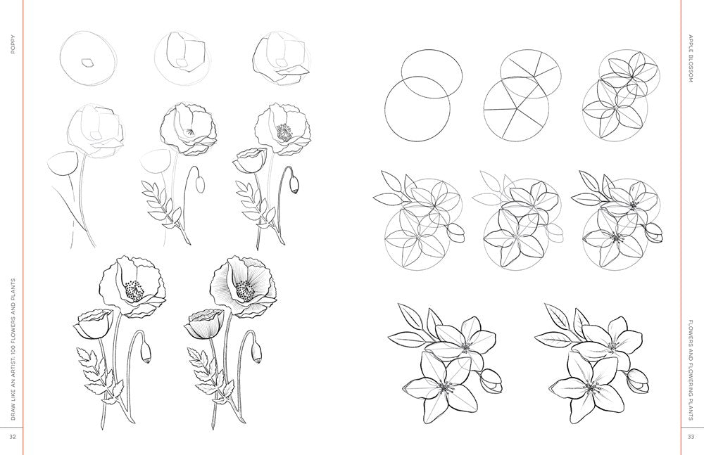 Draw Like an Artist: 100 Flowers and Plants