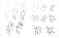 Draw Like an Artist: 100 Flowers and Plants