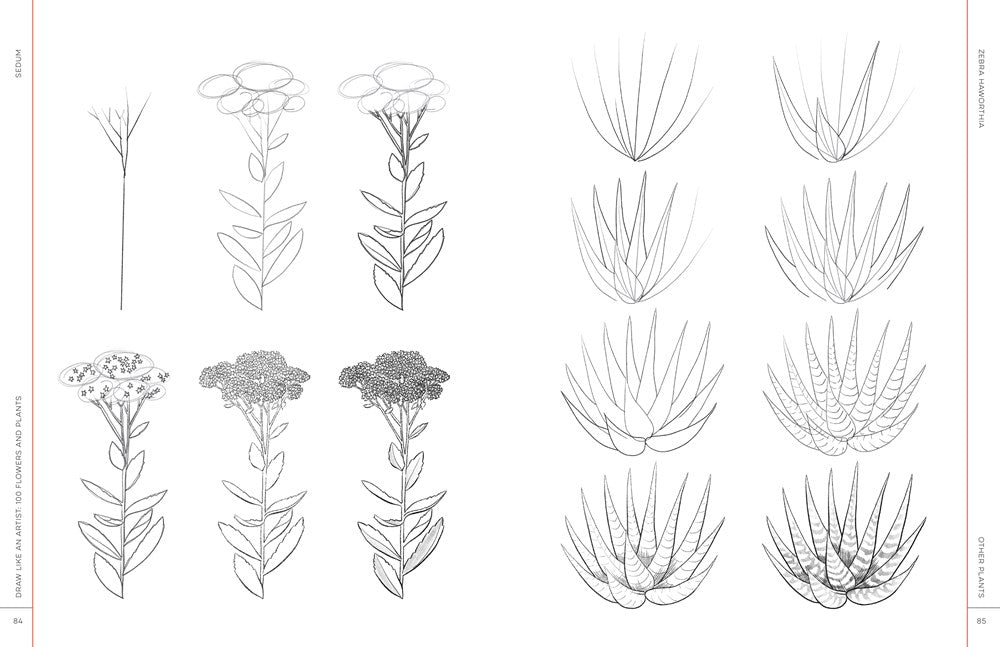 Draw Like an Artist: 100 Flowers and Plants