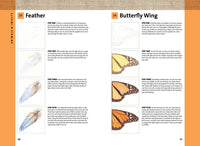 101 Textures in Colored Pencil